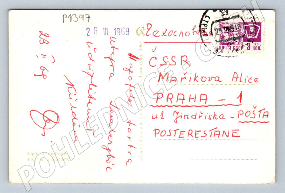 Pohlednice SSSR květiny zn 1969 (P1397)