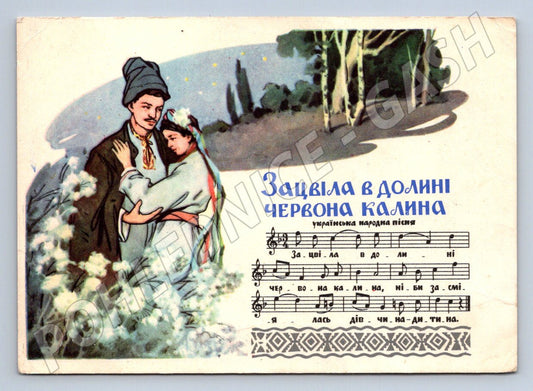 Pohlednice Ukrajina Červona kalina ilustrace folklor 1961 (P1399)