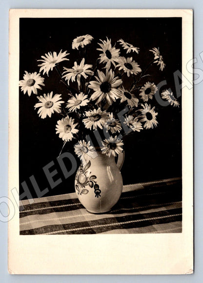 Pohlednice ČR ČB motiv květin psaná 1958 (P1401)