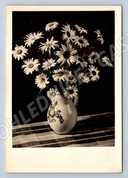 Pohlednice ČR ČB motiv květin psaná 1958 (P1401)