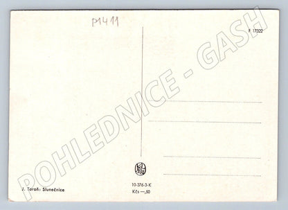 Pohlednice J Toroň Slunečnice malířství (P1411)