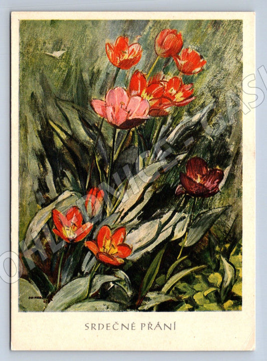 Pohlednice J Mezerová Tulipány Srdečné přání (P1412)