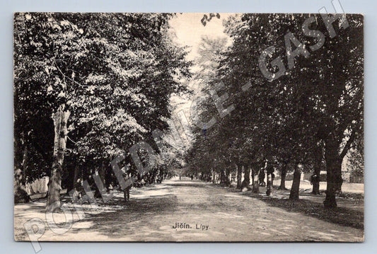 Pohlednice Jihlava alej líp ČB (P1432)