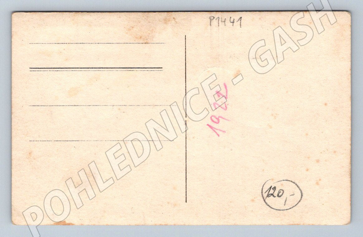 Pohlednice venkovský dřevěný dům s rodinou 1922 (P1441)