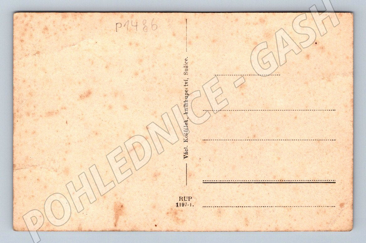 Pohlednice Sušice na Šumavě kolorovaná (P1486)