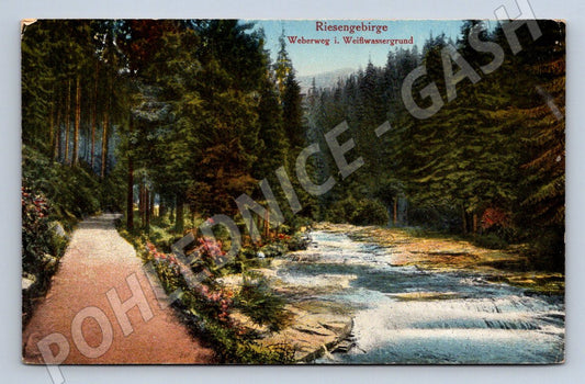 Pohlednice Krkonoše Riesengebirge Weberweg u Weißwassergrund (P1497)