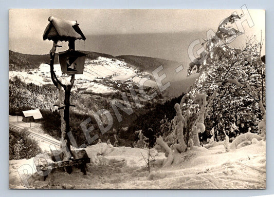 Pohlednice Krušné hory Mikulov zimní krajina K Prošek 1974 (P1530)
