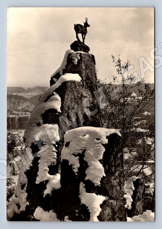 Pohlednice Karlovy Vary Kamzík pod Jelením skokem (P1537)