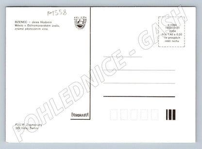 Pohlednice Bzenec zámek město myslivna Morava (P1558)
