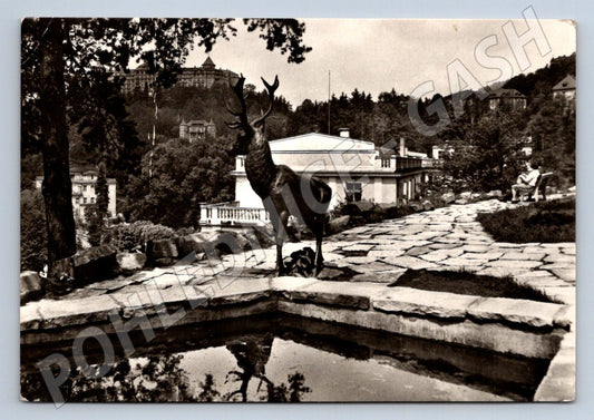 Pohlednice Karlovy Vary lázeňská léčebna Richmond socha jelena (P1620)