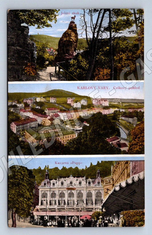 Pohlednice Karlovy Vary Jelení skok celkový pohled kavárna Pupp(P1636)