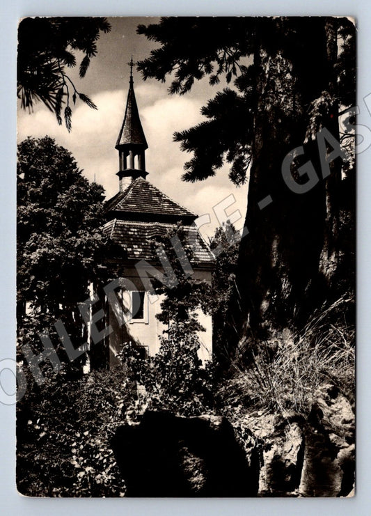 Pohlednice Český ráj Valdštejn 1962 raz (P1711)