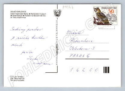 Pohlednice Velké Karlovice valašská krajina roubenky muzeum (P1947)