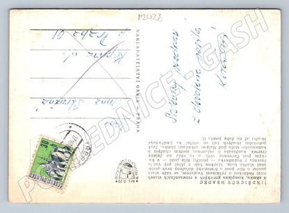 Pohlednice Jindřichův Hradec zámek panorama PP 1950 (P2028)