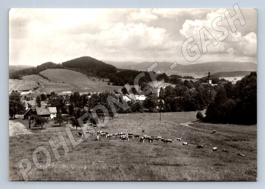 Pohlednice Žibřidice PP 1964 (P2037)