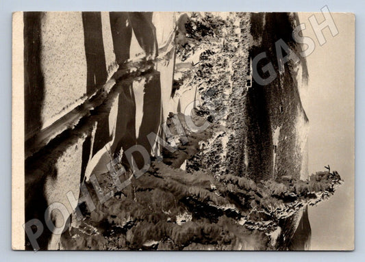 Pohlednice Krkonoše Petrova bouda zimní 1951 (P2113)