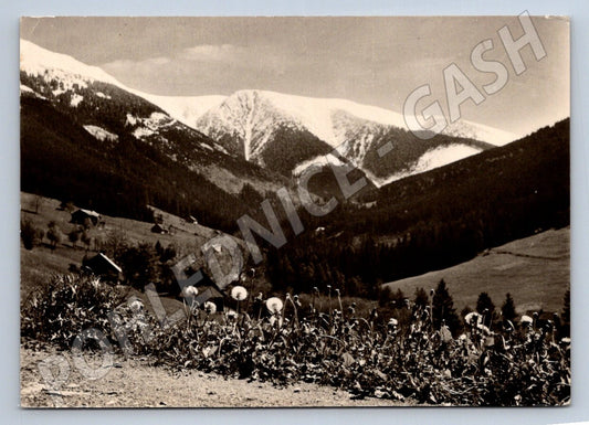 Pohlednice Krkonoše Svatý Petr jaro 1958 (P2123)