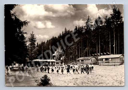 Pohlednice Pionýrský tábor ROH Dolní Kralovice 1965 (P2173)