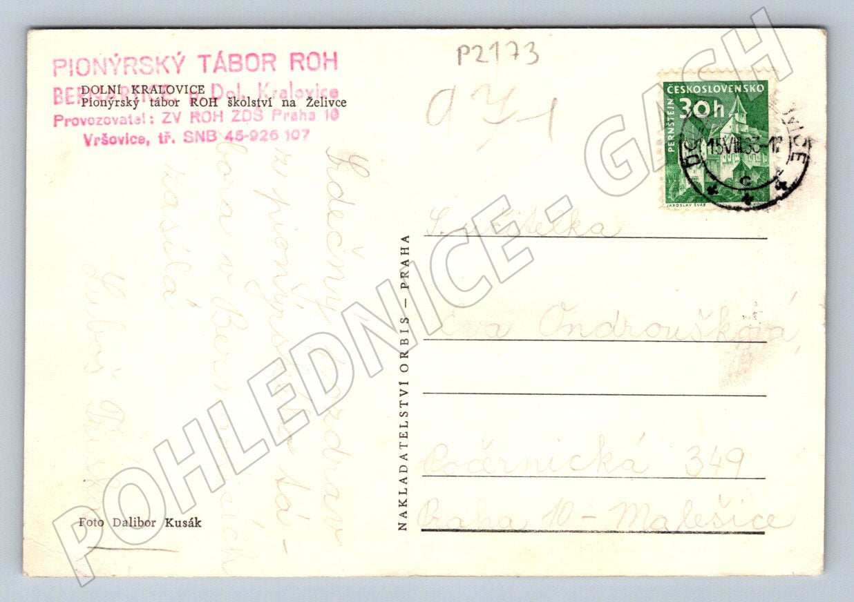 Pohlednice Pionýrský tábor ROH Dolní Kralovice 1965 (P2173)