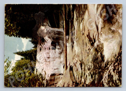 Pohlednice Harrachov Krkonoše Mumlavský vodopád (P2353)