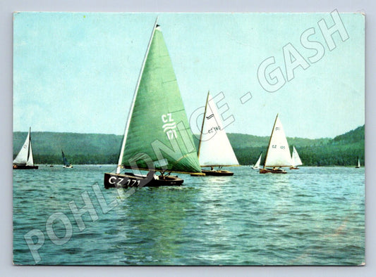 Pohlednice Máchovo jezero plachetnice Doksy Orbis 60 léta (P2366)