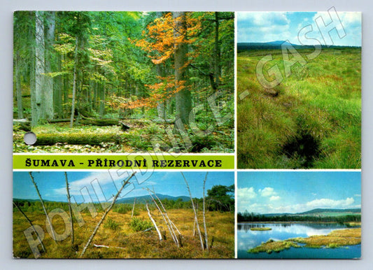 Pohlednice Šumava přírodní rezervace Pressfoto nevypisaná (P2443)