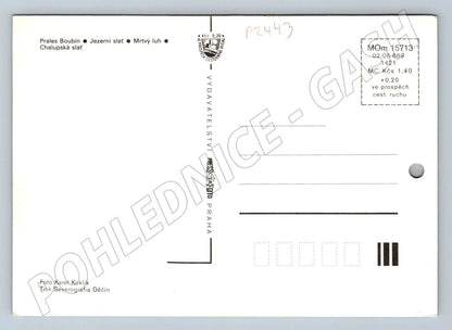 Pohlednice Šumava přírodní rezervace Pressfoto nevypisaná (P2443)