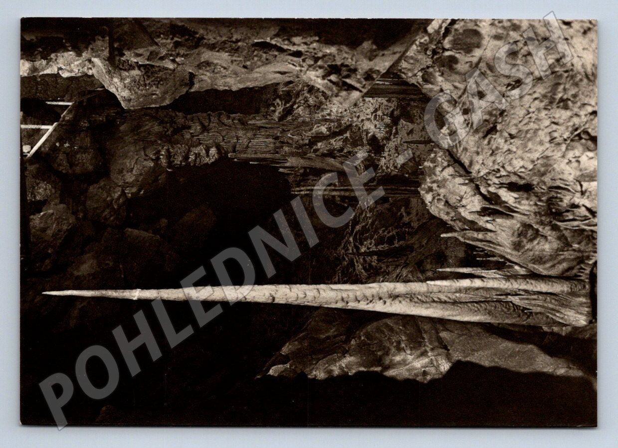 Pohlednice Moravský kras Punkevní jeskyně Pohádkový dóm (P2446)