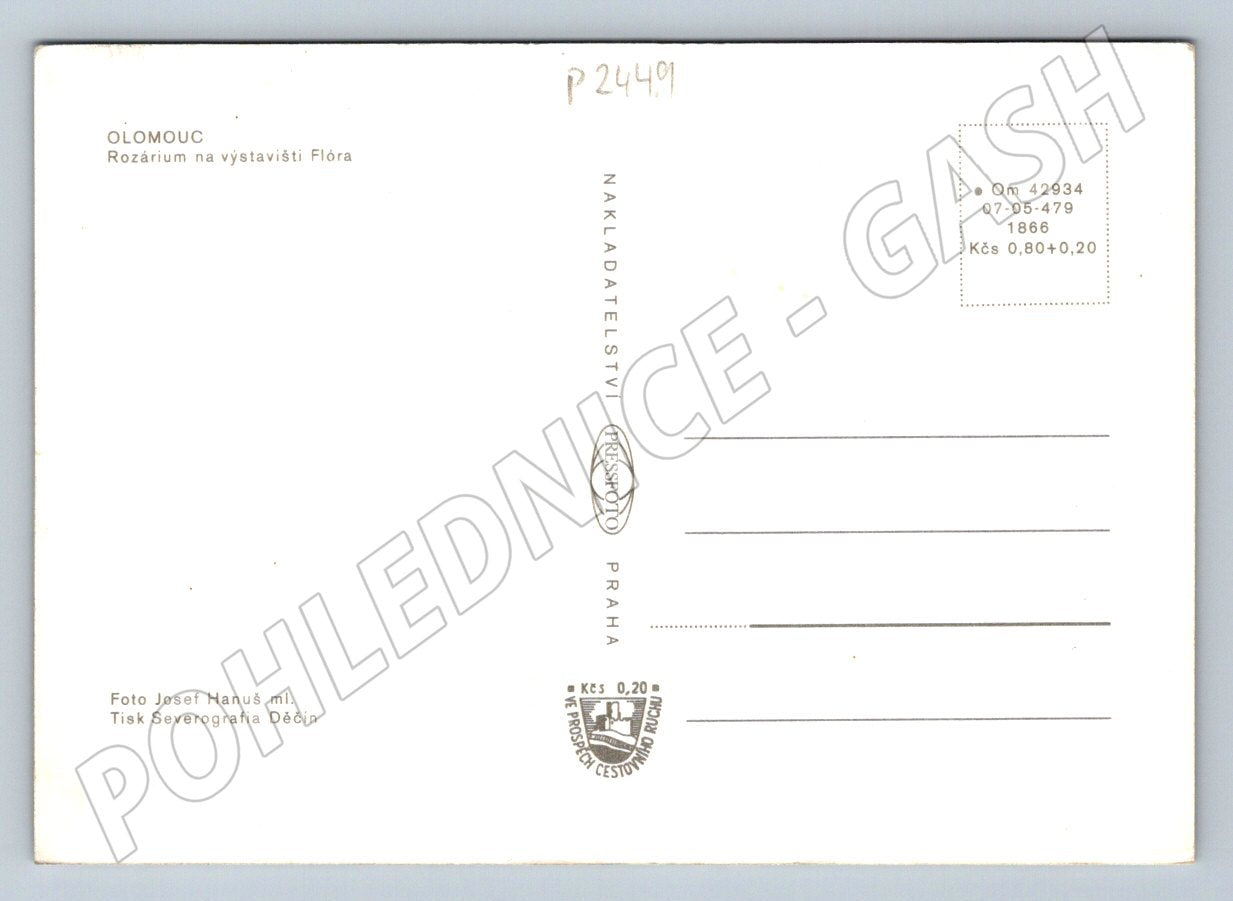 Pohlednice Olomouc rozárium výstaviště Flóra historická (P2449)