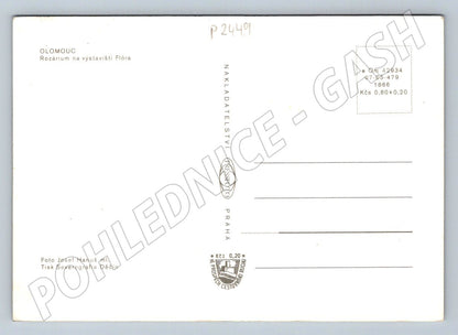 Pohlednice Olomouc rozárium výstaviště Flóra historická (P2449)