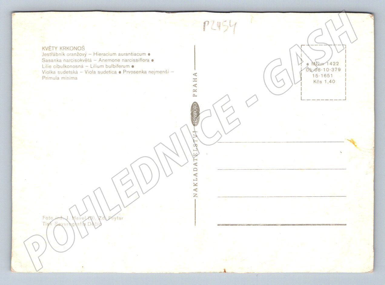 Pohlednice Květy Krkonoš více pohledů (P2454)