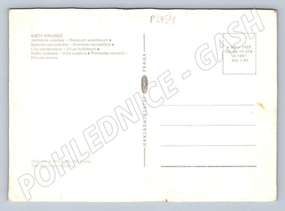 Pohlednice Květy Krkonoš více pohledů (P2454)