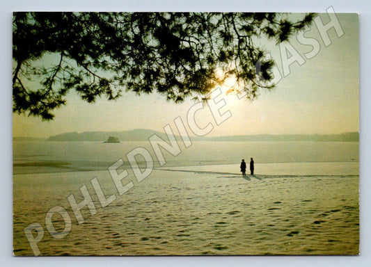 Pohlednice Máchovo jezero Staré Splavy zimní Miloslav Kalik (P2456)