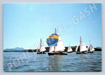Pohlednice Máchovo jezero jachting plachetnice Pressfoto (P2469)