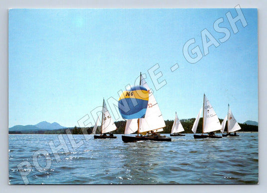 Pohlednice Máchovo jezero jachting plachetnice Pressfoto (P2469)