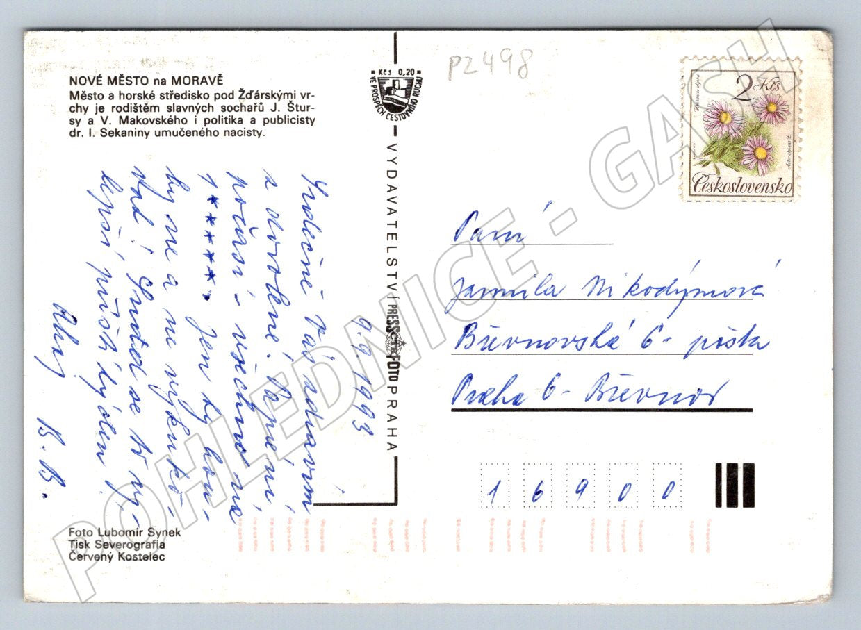 Pohlednice Nové Město na Moravě barevná PP 1993 (P2498)