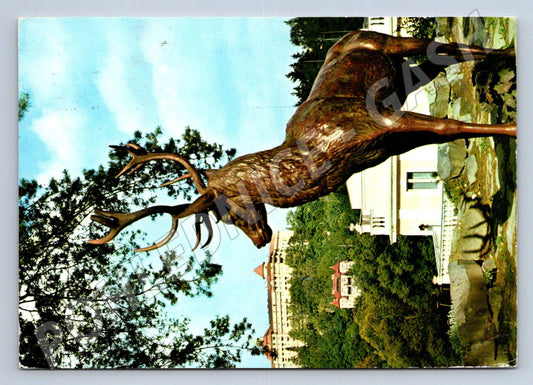 Pohlednice Karlovy Vary socha jelena PP 1983 (P2510)
