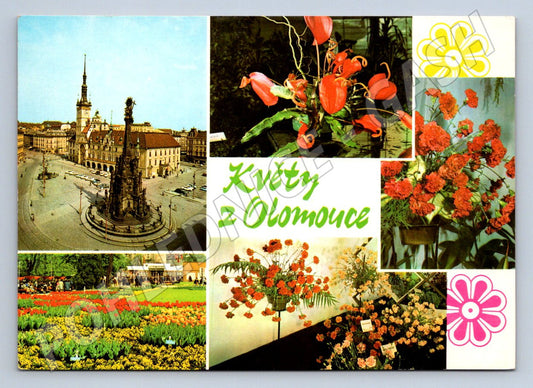Pohlednice Olomouc květy Flora koláž Pressfoto (P2549)