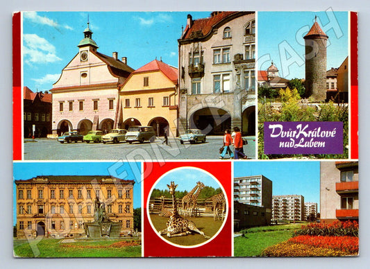 Pohlednice Dvůr Králové nad Labem velký formát Pressfoto (P2578)