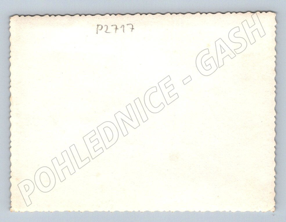 Pohlednice historický kostel či zámek ČB čistá (P2717)