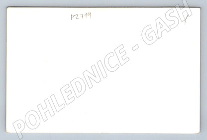Pohlednice zámek nad městem ČB (P2719)