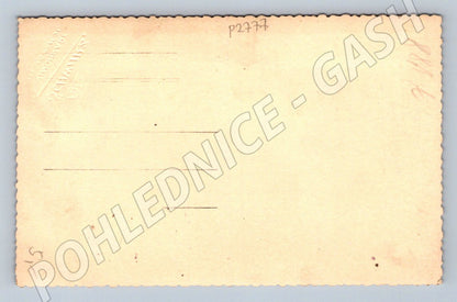 Stará fotografie chlapec ateliér Schwarz (P2777)