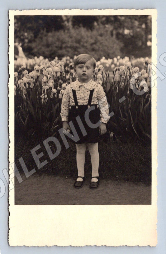 Pohlednice Chlapec v zahradě s květinami (P2797)