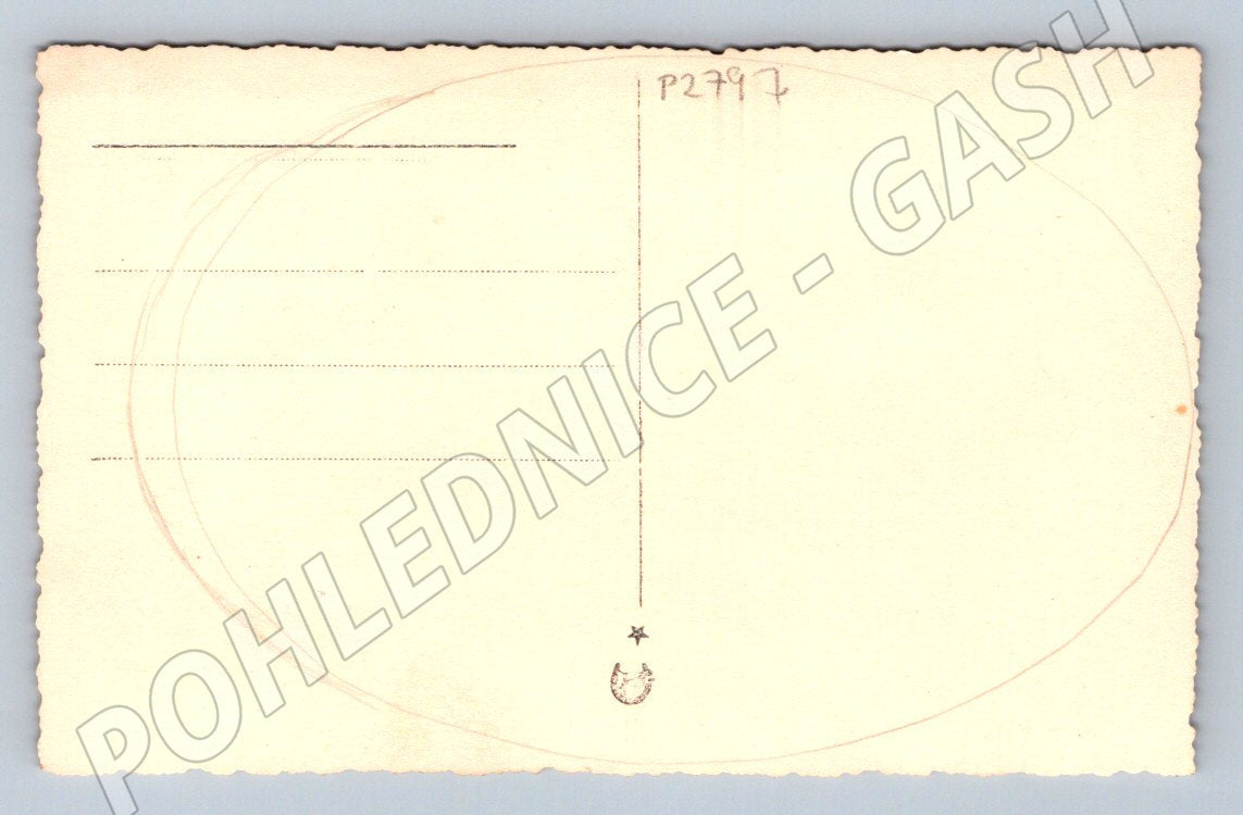 Pohlednice Chlapec v zahradě s květinami (P2797)