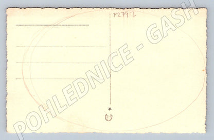 Pohlednice Chlapec v zahradě s květinami (P2797)