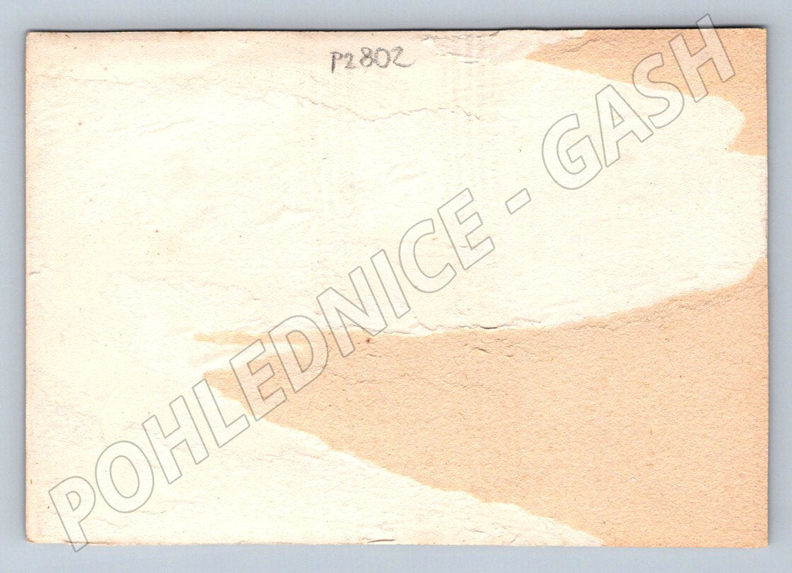 Stará fotografie žena se dvěma dětmi (P2802)