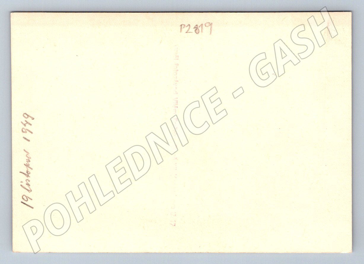 Stará fotografie tři mladé ženy s květinami 1949 (P2819)