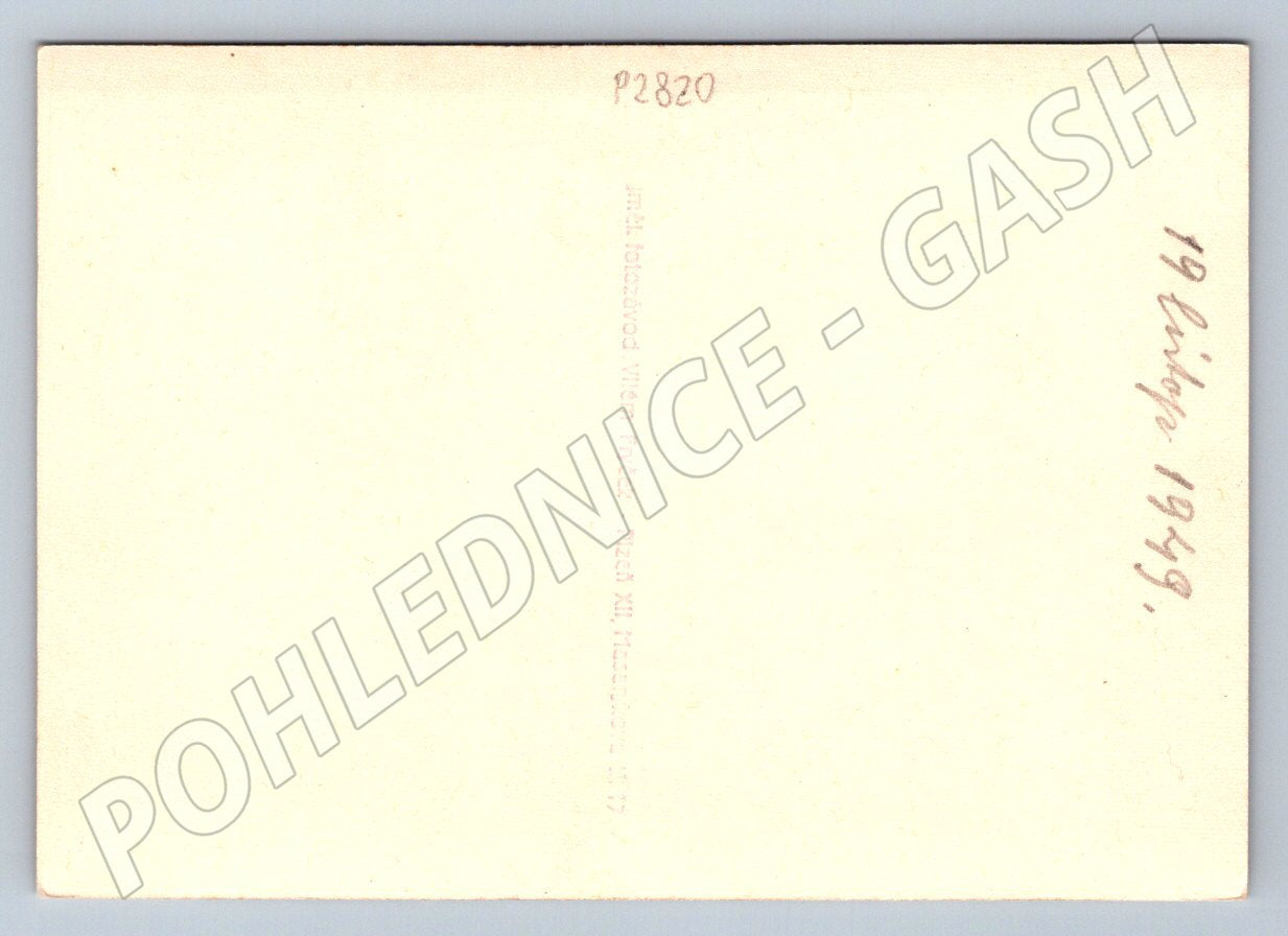 fotografie Plzeň skupinové foto svatební pár s hosty 1949 (P2820)