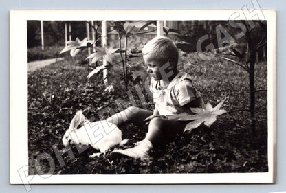 Stará fotografie dítě s králíkem venku (P2830)