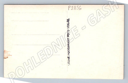 Pohlednice Poděbrady portrét muže (P2856)